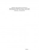 Nomenclatura de compuestos inorgánicos