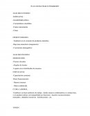 PLAN ESTRATÉGICO PINKBERRY ANALISIS EXTERNO