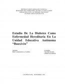 Estudio de diabetes como enfermedad hereditaria