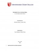 INFORME FINAL DE ORATORIA “LA SEGURIDAD INDUSTRIAL”