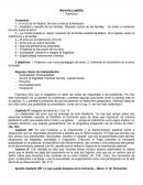 Resumen de Amoris Laetitiay comentarios