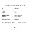 PLAN DE TRABAJO ACTIVIDADES DE SERUMS