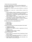 Cuestionario areas de responsabilidad