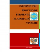 PROCESO DE FERMENTACIÓN- ELABORACIÓN DE VINAGRE