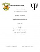 Diagnóstico de una necesidad real