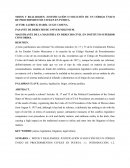 MITOS Y REALIDADES: JUSTIFICACIÓN O SOLUCIÓN DE UN CÓDIGO ÚNICO DE PROCEDIMIENTOS CIVILES EN PUERTA.