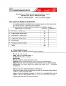 Formato Primer trabajo Practico museo