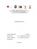 Informe de pasantias CLPP DIEGO IBARRA