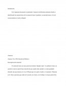 Mercado meta evaluacion de anuncios