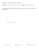 Lectura de escalas de diversos instrumentos