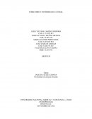 RESPUESTA A LOS INTERROGANTES PLANTEADOS