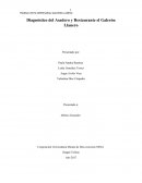 Diagnóstico del Asadero y Restaurante el Galerón Llanero