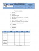 Procedimiento confeccion de radier