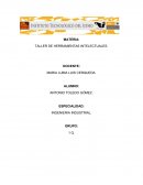 TALLER DE HERRAMIENTAS INTELECTUALES. TEMPERAMENTO