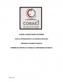 VIOLENCIA E INSEGURIDAD EN MEXICO