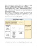 Cadena de Suministros INDITEX S.A.