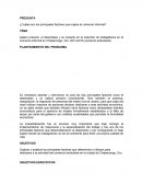 ¿Cuáles son los principales factores que origina el comercio informal?