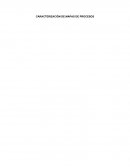 CARACTERIZACIÓN DE MAPAS DE PROCESOS