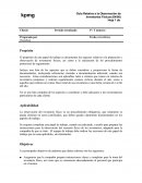 Guia Relativa a la Obseravión de Inventarios Físicos