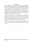 Elon Musk ¿Quién es Elon Musk?