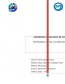 LA IMPORTANCIA DE LA MERCADOTECNIA