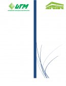 Desarrollo Empresarial Unidad III: PLAN DE TRABAJO Y RESUMEN EJECUTIVO