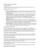 Jerarquías Normativas y normas supremas