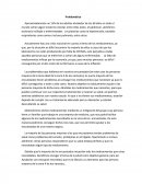 Problematica. Aproximadamente un 15% de los adultos alrededor de los 60 años en todo el mundo sufren algún trastorno mental
