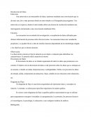 Recolección de Datos Entrevista