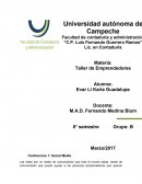 REPORTE DE CONFERENCIAS