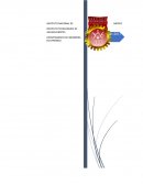 Practica delta y estrella