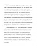Revisión de la literatura Diseño y procedimientos