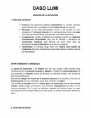 CASO LUMI ANÁLISIS DE LA SITUACIÓN