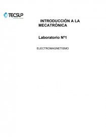 Laboratorio Nº1 ELECTROMAGNETISMO. Página 1