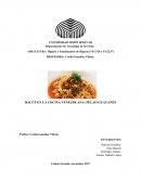 PELAO GUAYANES HACCP