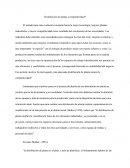 Distribución de planta ¿Competitividad?