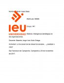 Lo funcional de las áreas funcionales... ¿realidad o mito?