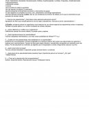 Características de asquelmintos