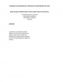 EFICIENCIA DE UN MECHERO EN EL PROCESO DE CALENTAMIENTO DEL AGUA