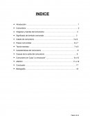 Comunismo. ideas de Karl Marx y otros teóricos