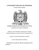 Remediación en la presa de Jales de Concepción del Oro