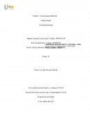 Unidad 2. La psicología ambiental. Trabajo grupal. (Ecología humana)