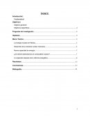 Trabajo Final Energía Nuclear en México (Fundamentos de Investigación)
