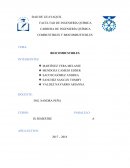COMBUSTIBLES Y BIOCOMBUSTUBLES