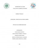 Proyecto de norma mexicana