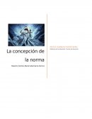 La concepción de la norma