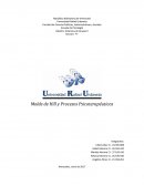 Molde de Hill y Procesos Psicoterapéuticos