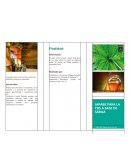 ¿Por qué se necesita un jarabe a base de Sábila?