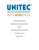 Dirección de Proyectos Gestión de Costos y Adquisiciones