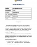 Transgénicos. Tipos de organismos transgénicos